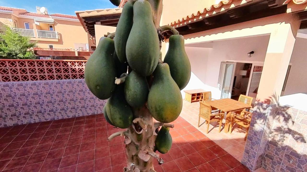 La Casa De La Papaya, By Comfortable Luxury Коральео Экстерьер фото